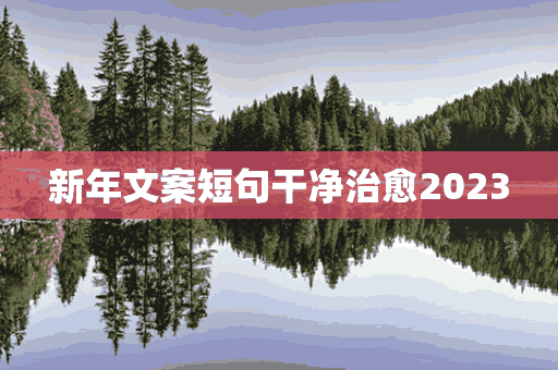 新年文案短句干净治愈2023(新年文案短句干净治愈阳光)